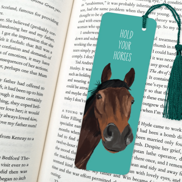 Turquoise Books with Horse Drawing on with the text Hold Your Horses printed above it. Placed on an open page of a book