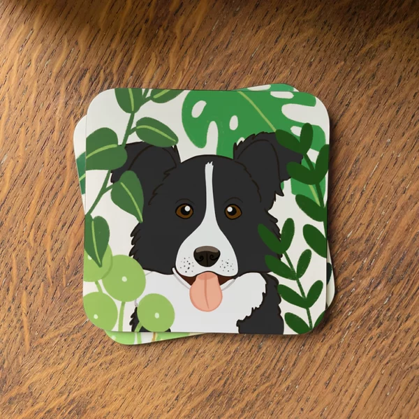 Black-and-White-Border-Collie-Coaster