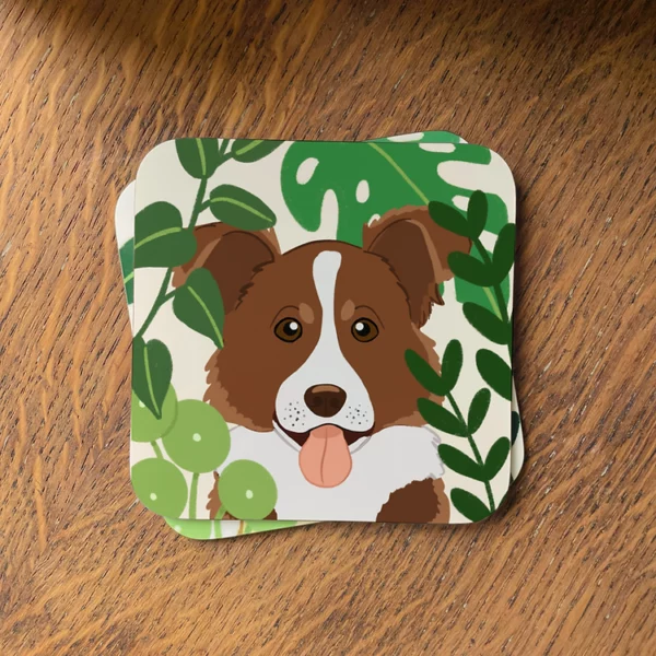 Brown-&-White-Border-Collie-Coaster