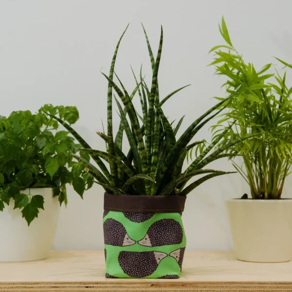 the-owlery-hedgehog-indoor-plant-pot