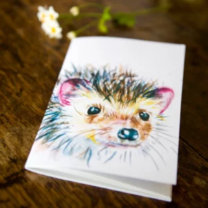 Inky-Hedgehog-Eco-A6-Notebook