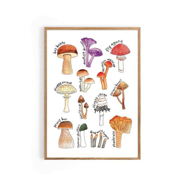 illustrated-mushroom-print